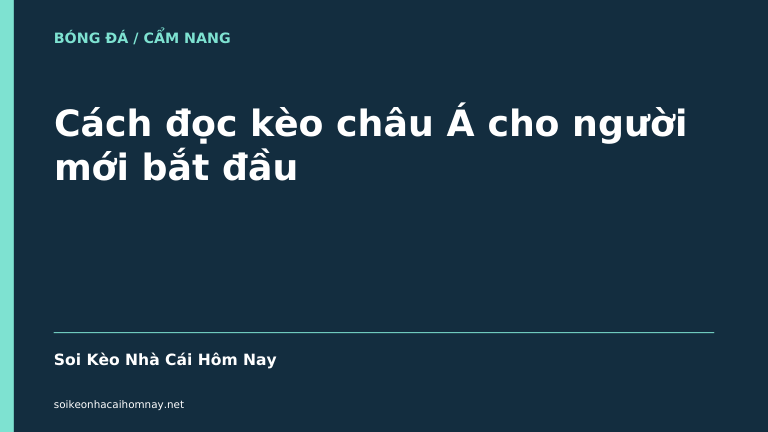 Cách đọc kèo châu Á cho người mới bắt đầu - Soi Kèo Nhà Cái Hôm Nay