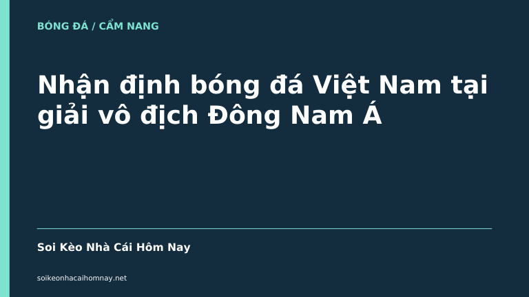 Nhận định bóng đá Việt Nam tại giải vô địch Đông Nam Á